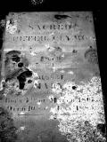 image of grave number 27847